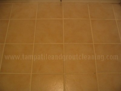 white grout cleaning