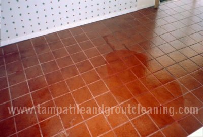 quarry tile cleaning